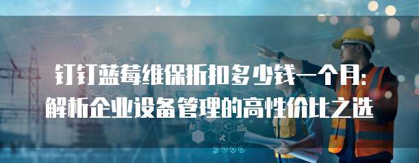 钉钉蓝莓维保折扣多少钱一个月:解析企业设备管理的高性价比之选