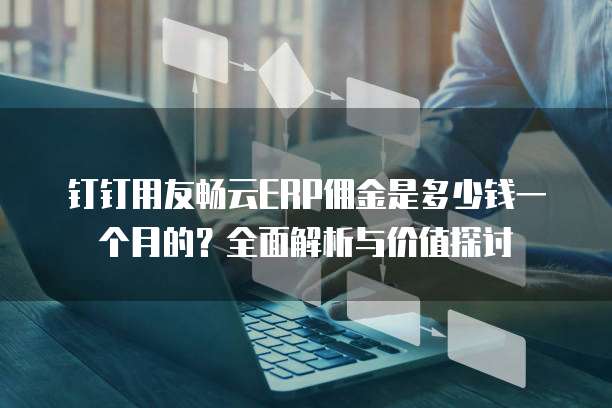 钉钉用友畅云ERP佣金是多少钱一个月的?全面解析与价值探讨