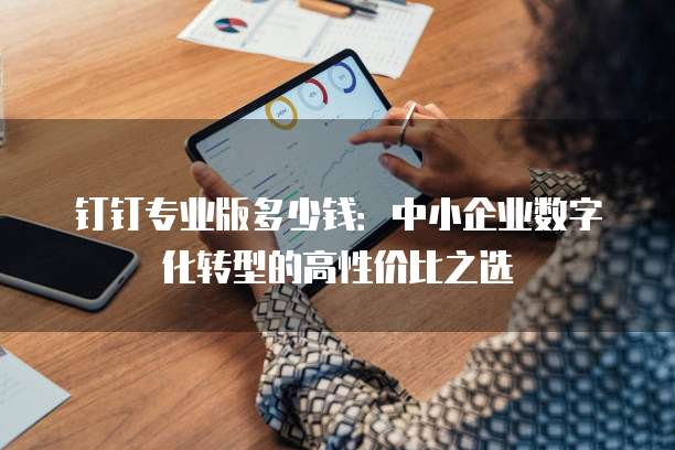 钉钉专业版多少钱:中小企业数字化转型的高性价比之选
