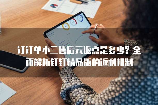 钉钉单小二售后云返点是多少？全面解析钉钉精品版的返利机制