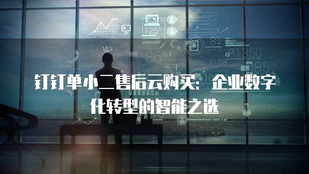 钉钉单小二售后云购买：企业数字化转型的智能之选