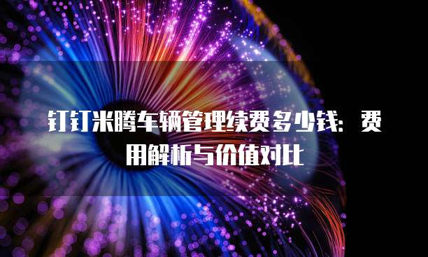钉钉米腾车辆管理续费多少钱:费用解析与价值对比