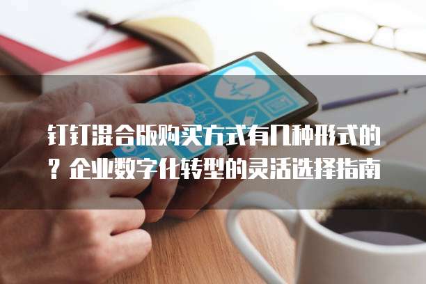 钉钉混合版购买方式有几种形式的?企业数字化转型的灵活选择指南