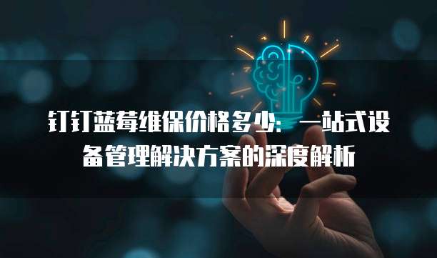钉钉蓝莓维保价格多少：一站式设备管理解决方案的深度解析