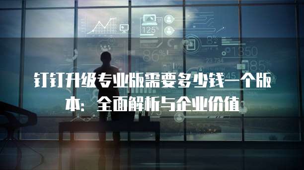 钉钉升级专业版需要多少钱一个版本：全面解析与企业价值