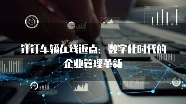 钉钉车辆在线返点:数字化时代的企业管理革新