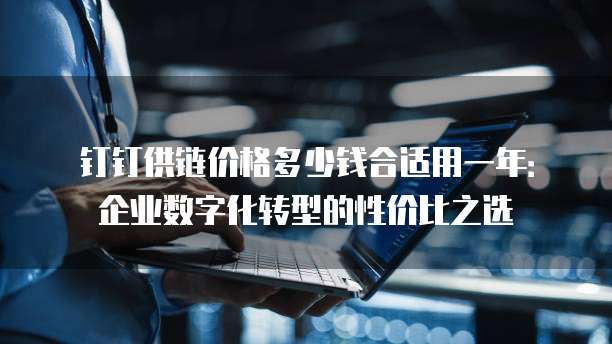 钉钉供链价格多少钱合适用一年：企业数字化转型的性价比之选