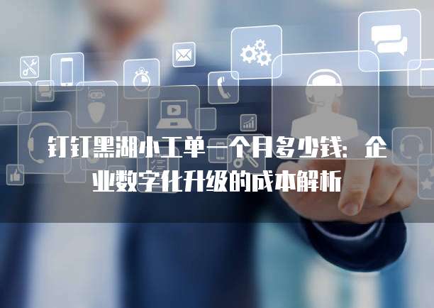 钉钉黑湖小工单一个月多少钱：企业数字化升级的成本解析