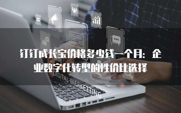 钉钉成长宝价格多少钱一个月：企业数字化转型的性价比选择