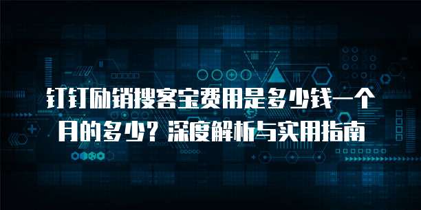 钉钉励销搜客宝费用是多少钱一个月的多少?深度解析与实用指南
