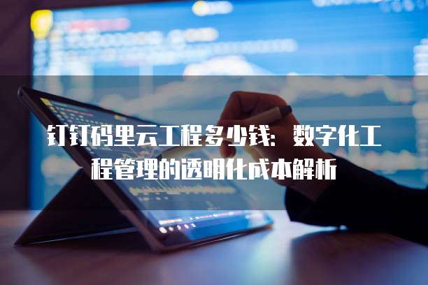 钉钉码里云工程多少钱:数字化工程管理的透明化成本解析