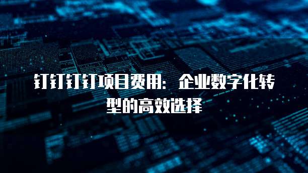 钉钉钉钉项目费用:企业数字化转型的高效选择