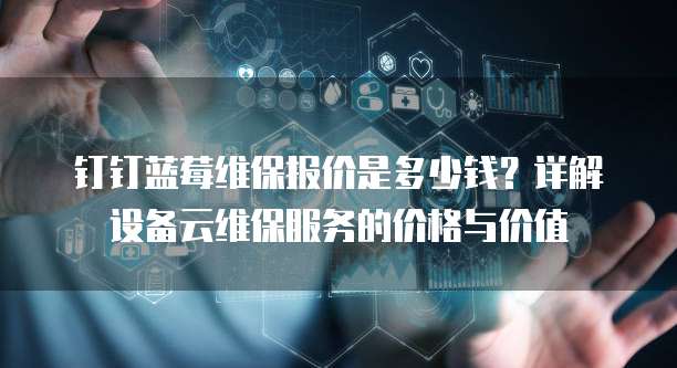 钉钉蓝莓维保报价是多少钱？详解设备云维保服务的价格与价值