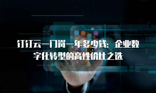 钉钉云一门岗一年多少钱:企业数字化转型的高性价比之选