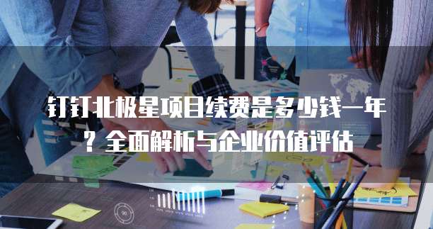 钉钉北极星项目续费是多少钱一年?全面解析与企业价值评估