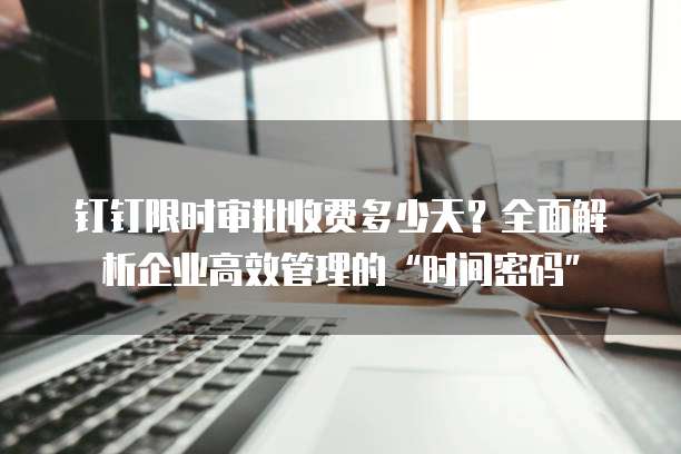 钉钉限时审批收费多少天？全面解析企业高效管理的&ldquo;时间密码&rdquo;
