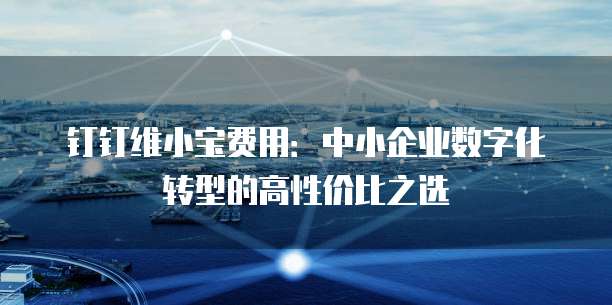 钉钉维小宝费用：中小企业数字化转型的高性价比之选