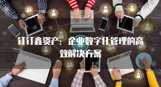 钉钉鑫资产:企业数字化管理的高效解决方案