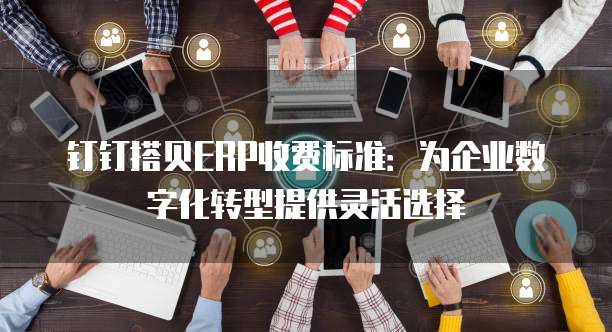 钉钉搭贝ERP收费标准：为企业数字化转型提供灵活选择