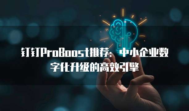 钉钉ProBoost推荐:中小企业数字化升级的高效引擎