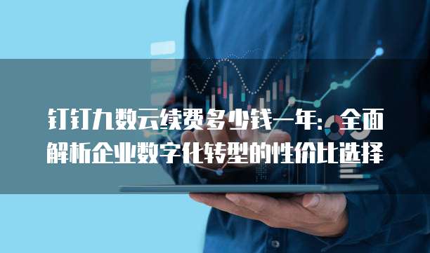 钉钉九数云续费多少钱一年:全面解析企业数字化转型的性价比选择