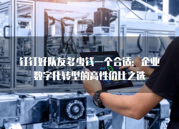 钉钉好队友多少钱一个合适:企业数字化转型的高性价比之选