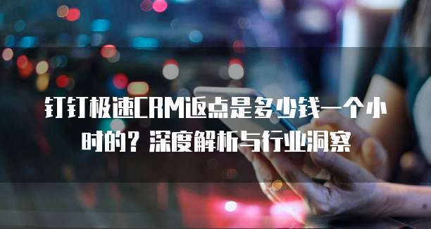 钉钉极速CRM返点是多少钱一个小时的？深度解析与行业洞察