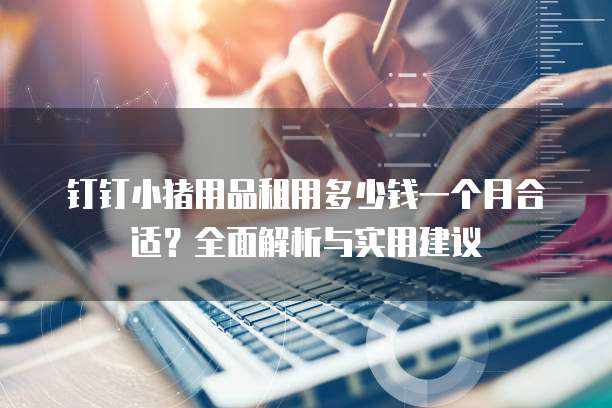 钉钉小猪用品租用多少钱一个月合适？全面解析与实用建议