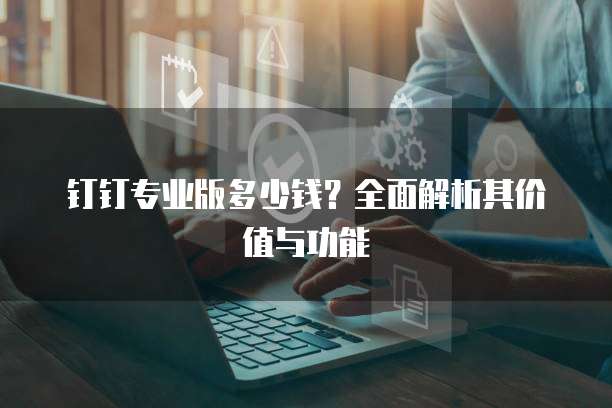 钉钉专业版多少钱?全面解析其价值与功能