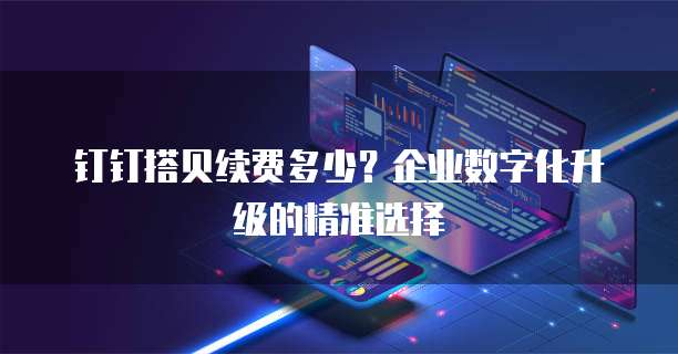 钉钉搭贝续费多少？企业数字化升级的精准选择