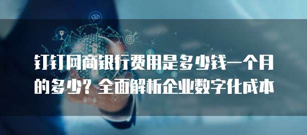 钉钉网商银行费用是多少钱一个月的多少？全面解析企业数字化成本