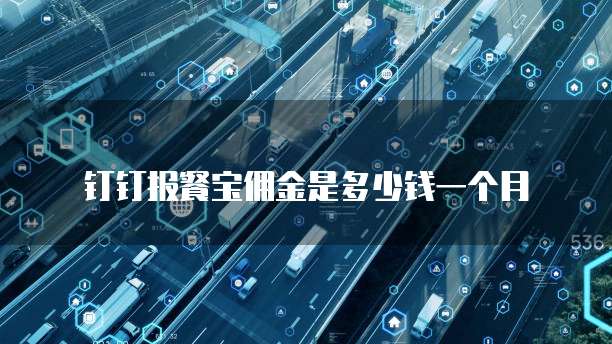 钉钉报餐宝佣金是多少钱一个月