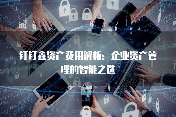 钉钉鑫资产费用解析:企业资产管理的智能之选