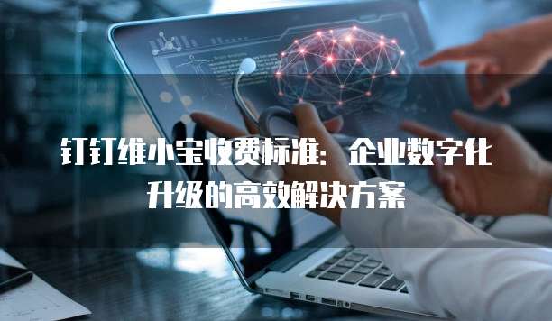 钉钉维小宝收费标准：企业数字化升级的高效解决方案