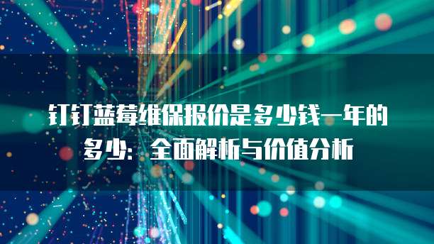 钉钉蓝莓维保报价是多少钱一年的多少:全面解析与价值分析