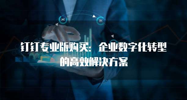 钉钉专业版购买:企业数字化转型的高效解决方案