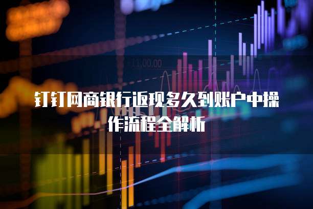 钉钉网商银行返现多久到账户中操作流程全解析