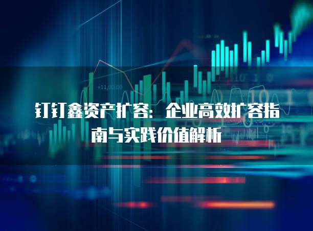 钉钉鑫资产扩容:企业高效扩容指南与实践价值解析