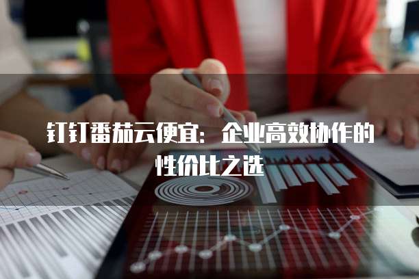 钉钉番茄云便宜:企业高效协作的性价比之选