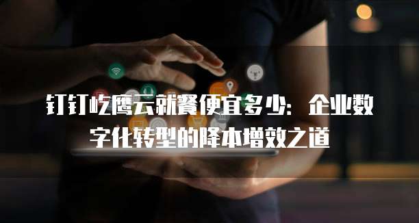 钉钉屹鹰云就餐便宜多少：企业数字化转型的降本增效之道