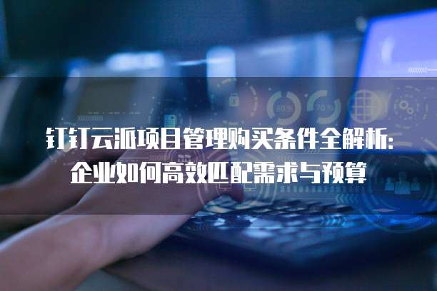 钉钉云派项目管理购买条件全解析：企业如何高效匹配需求与预算