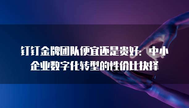 钉钉金牌团队便宜还是贵好:中小企业数字化转型的性价比抉择