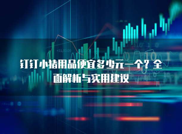 钉钉小猪用品便宜多少元一个?全面解析与实用建议