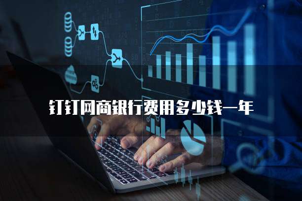 钉钉网商银行费用多少钱一年