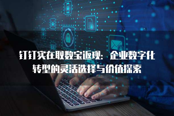 钉钉实在取数宝返现:企业数字化转型的灵活选择与价值探索
