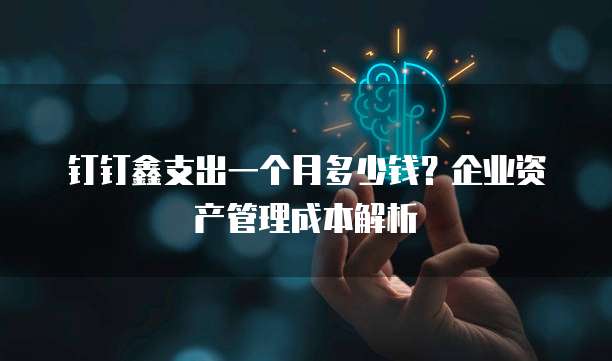 钉钉鑫支出一个月多少钱?企业资产管理成本解析