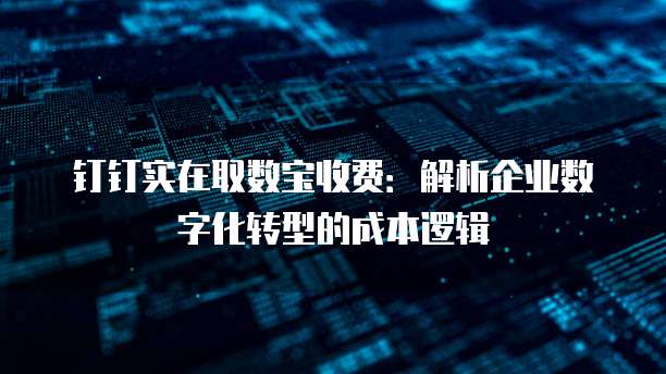 钉钉实在取数宝收费:解析企业数字化转型的成本逻辑