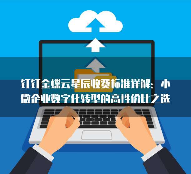 钉钉金蝶云星辰收费标准详解：小微企业数字化转型的高性价比之选