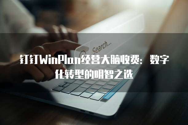 钉钉WinPlan经营大脑收费：数字化转型的明智之选