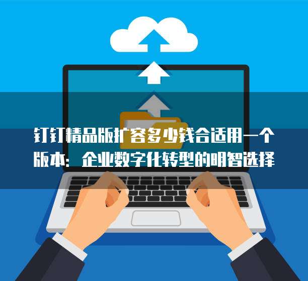 钉钉精品版扩容多少钱合适用一个版本:企业数字化转型的明智选择